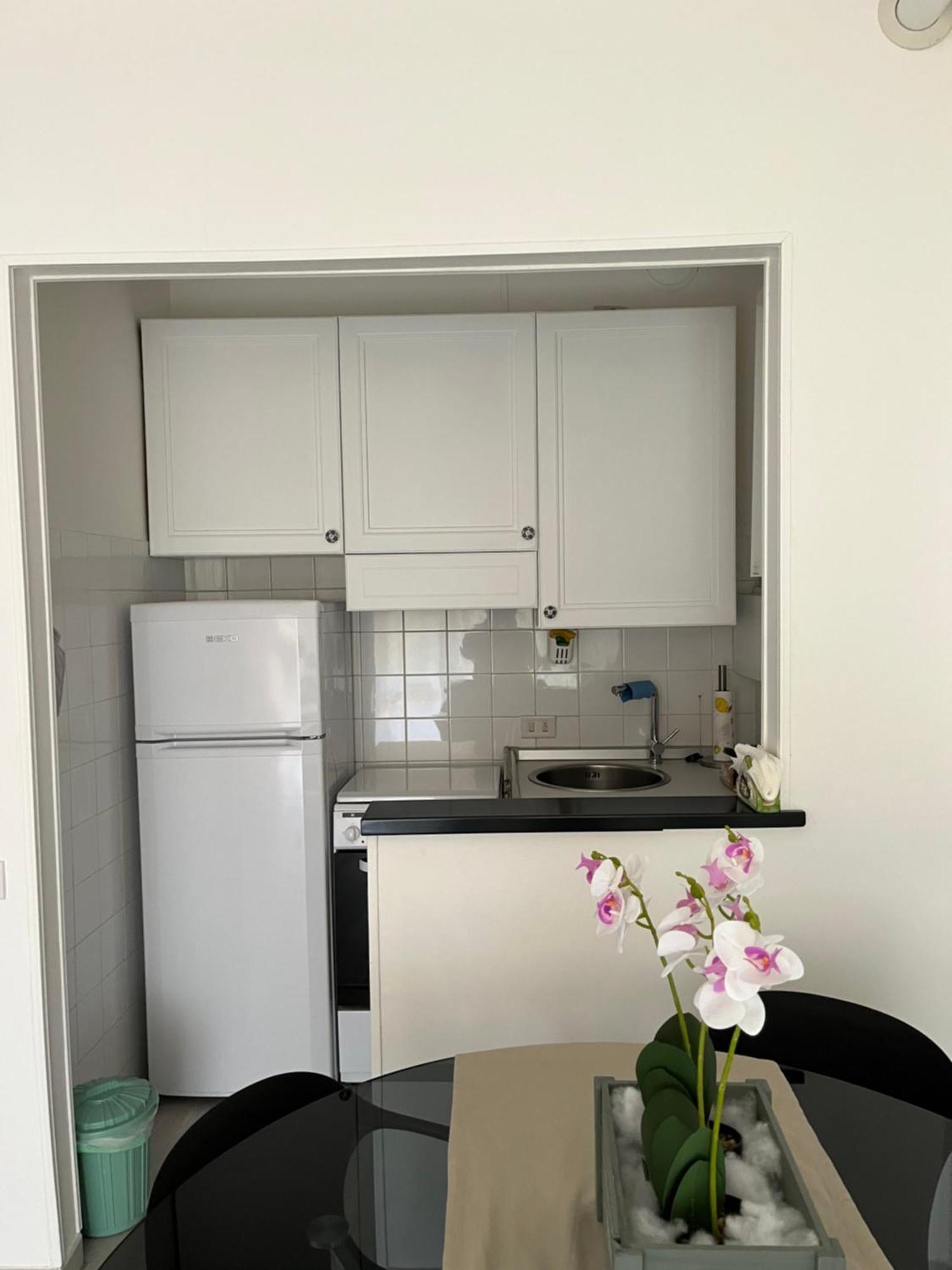 Lake & Nature Apartment Ispra Luaran gambar